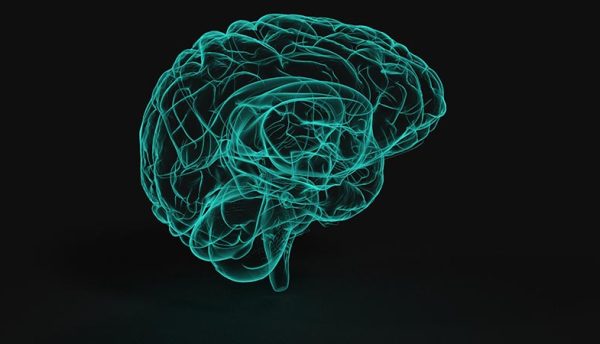 AI tool aims to predict a person’s risk of dementia from brain scans